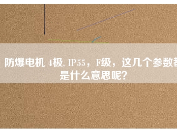 防爆電機(jī) 4極, IP55，F(xiàn)級，這幾個參數(shù)都是什么意思呢？