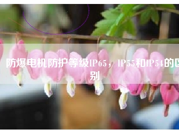 防爆電機(jī)防護(hù)等級(jí)IP65，IP55和IP54的區(qū)別