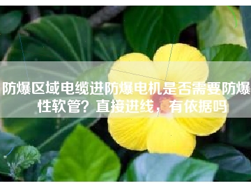 防爆區(qū)域電纜進(jìn)防爆電機(jī)是否需要防爆撓性軟管？直接進(jìn)線，有依據(jù)嗎