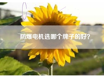 防爆電機(jī)選哪個牌子的好？