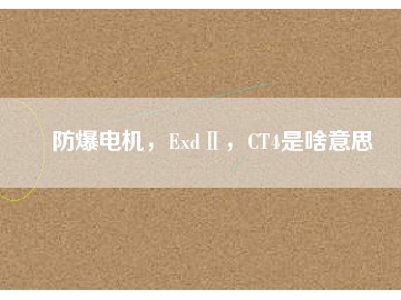 防爆電機(jī)，ExdⅡ，CT4是啥意思