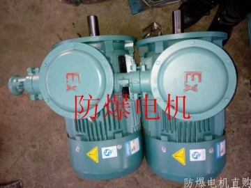 防爆電機分類：防爆電機選型、參數(shù)、定義