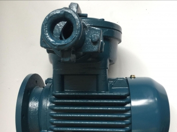 怎么選對粉塵防爆電機？