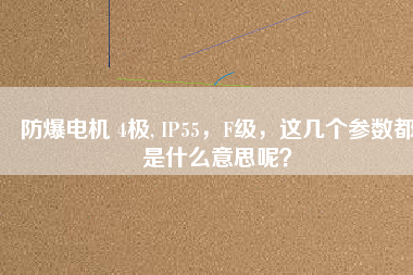 防爆電機 4極, IP55，F(xiàn)級，這幾個參數(shù)都是什么意思呢？